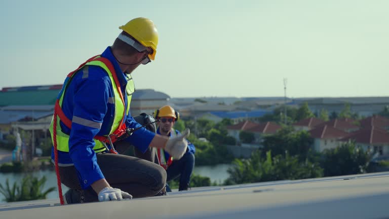 Best Roof Insulation Installation  in Bright, IN