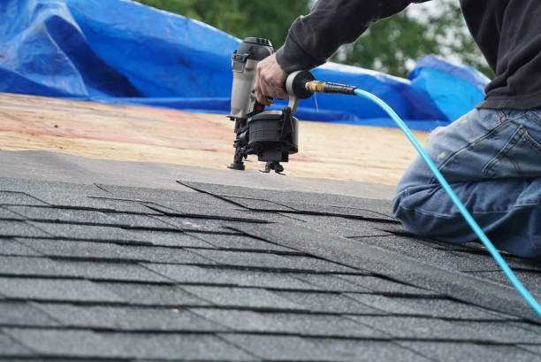 Best Solar Panel Roofing Installation  in Bright, IN