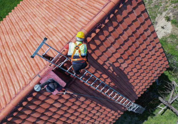 Best Metal Roofing Installation  in Bright, IN